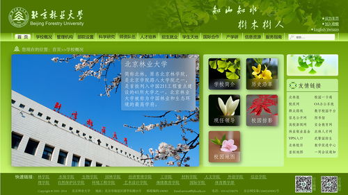 北京林业大学官方网站设计方案
